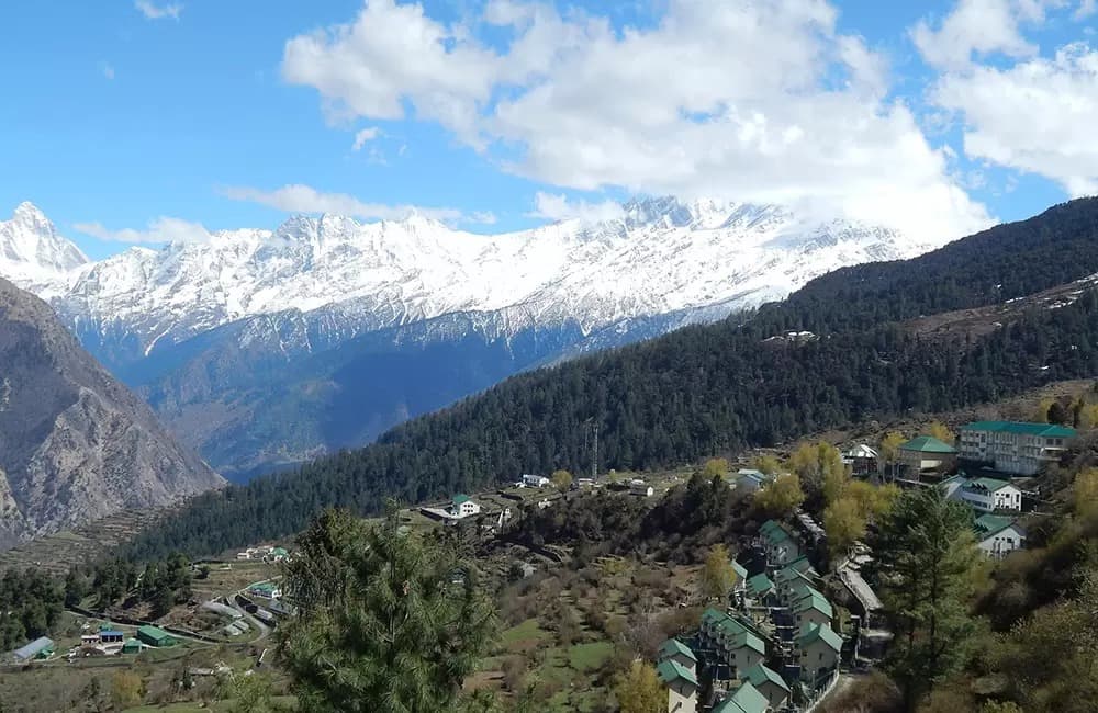 Photo 14 of Auli Gorson Bugyal Trek