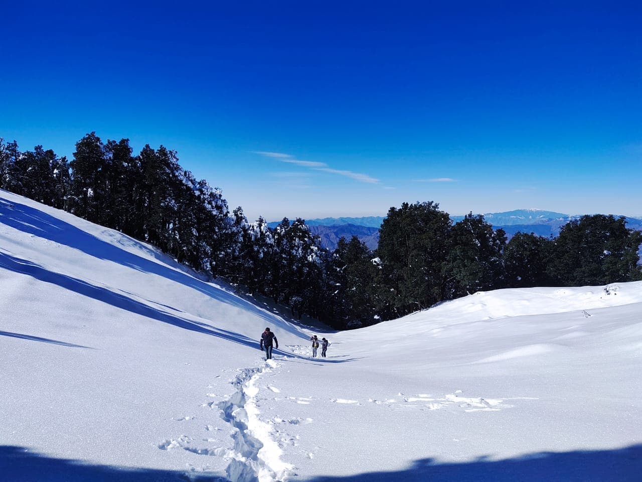 Photo 3 of Nag Tibba Weekend Trek