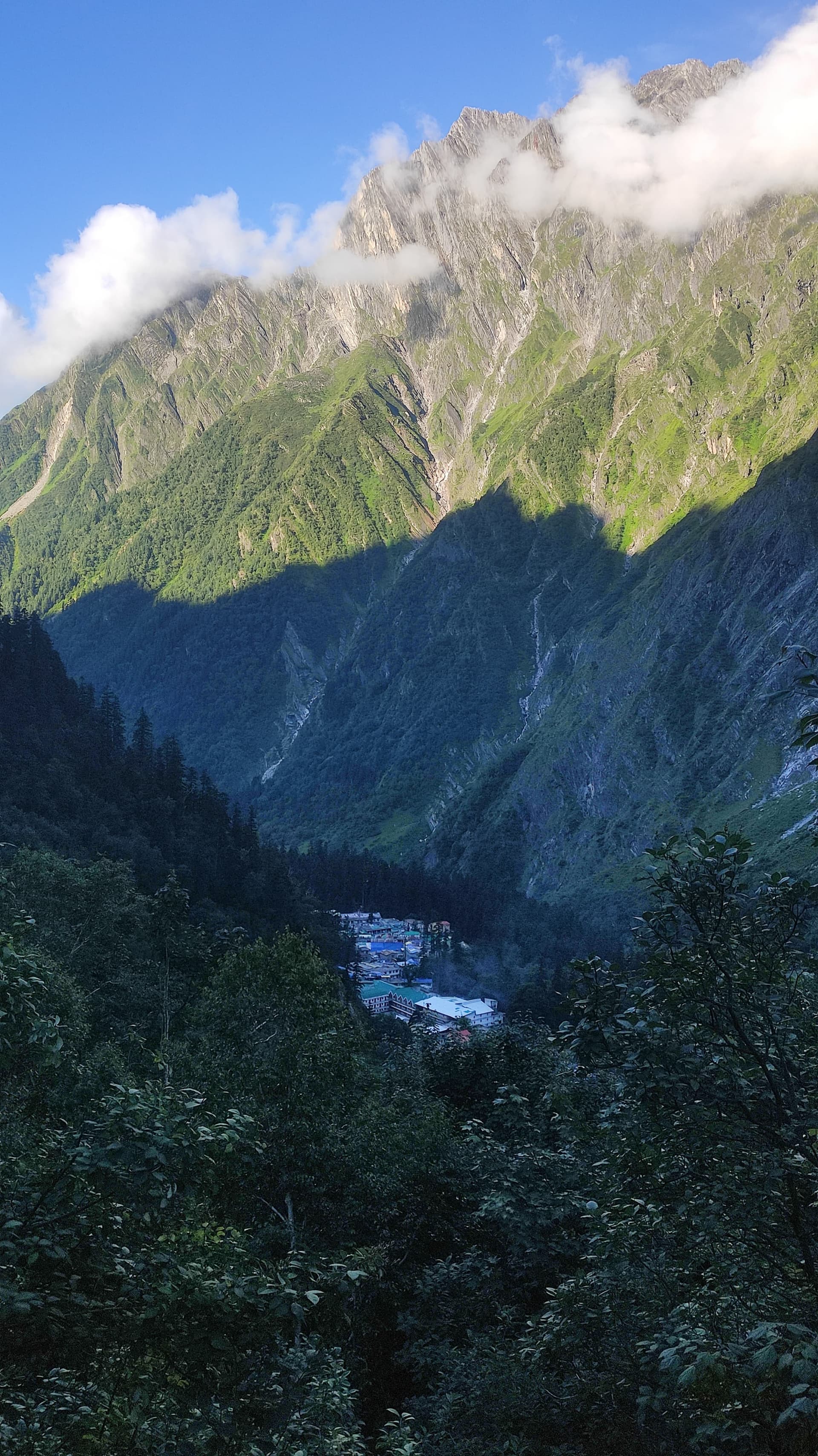 Photo 4 of Valley of Flowers Trek