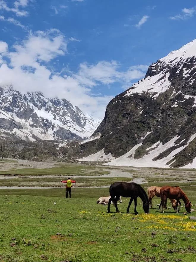 Photo 6 of Brammah Valley Trek