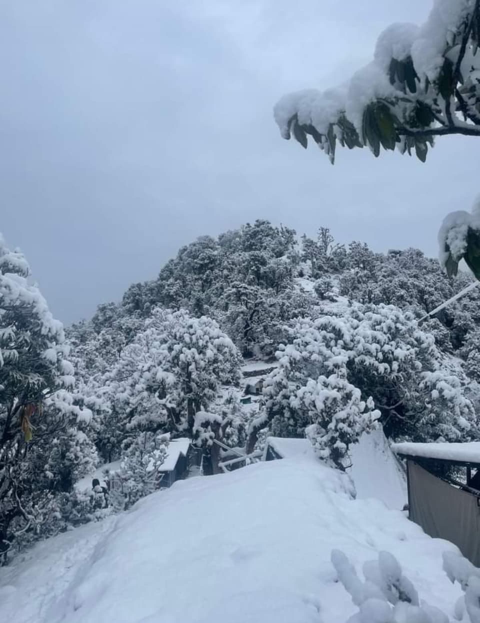 Photo 13 of Chopta Chandrashila Tungnath with Deoriatal