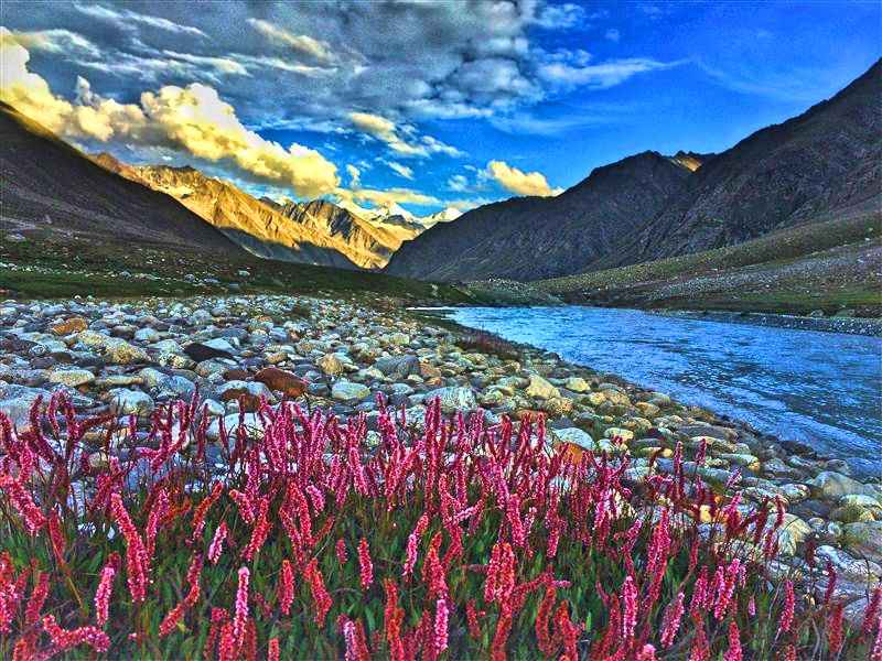 Photo 7 of Miyar Valley Trek