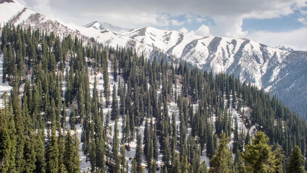 Photo 2 of Sinthan Top & Alpine Lakes Trek