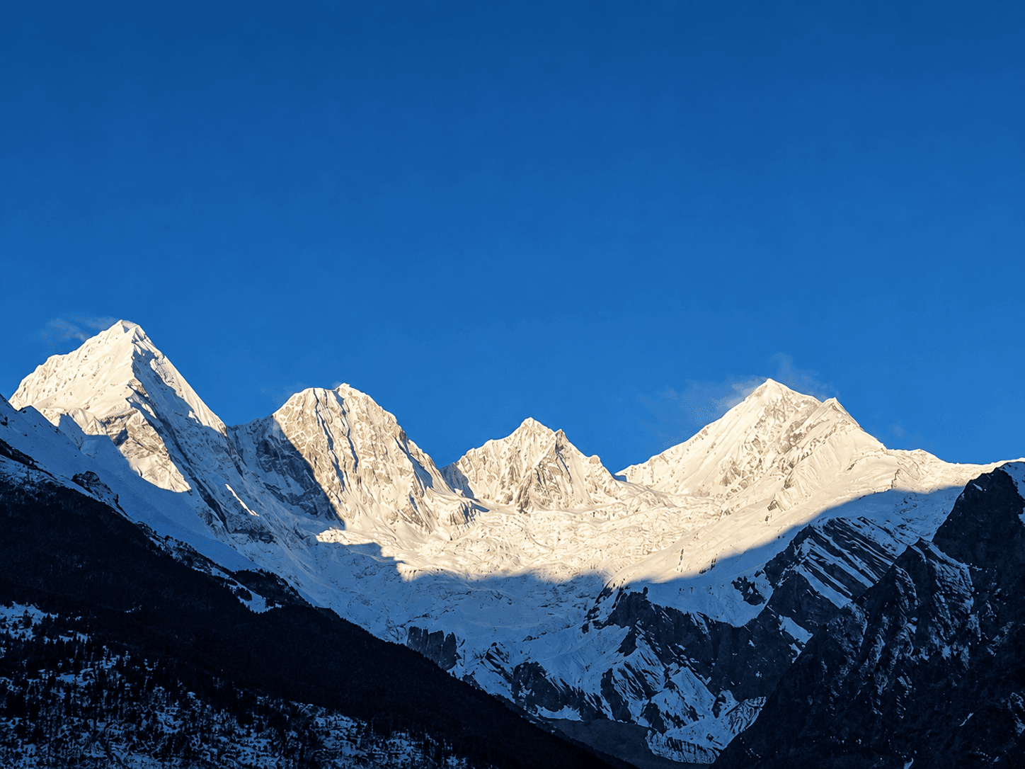 The Art of Acclimatization