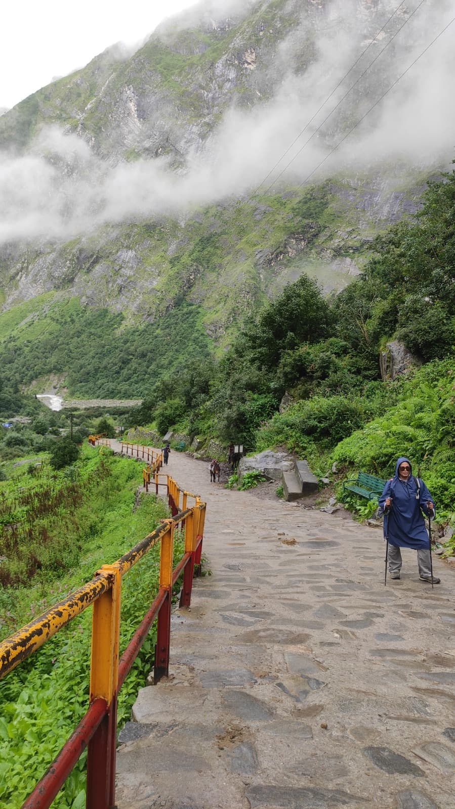 Photo 10 of Valley of Flowers Trek