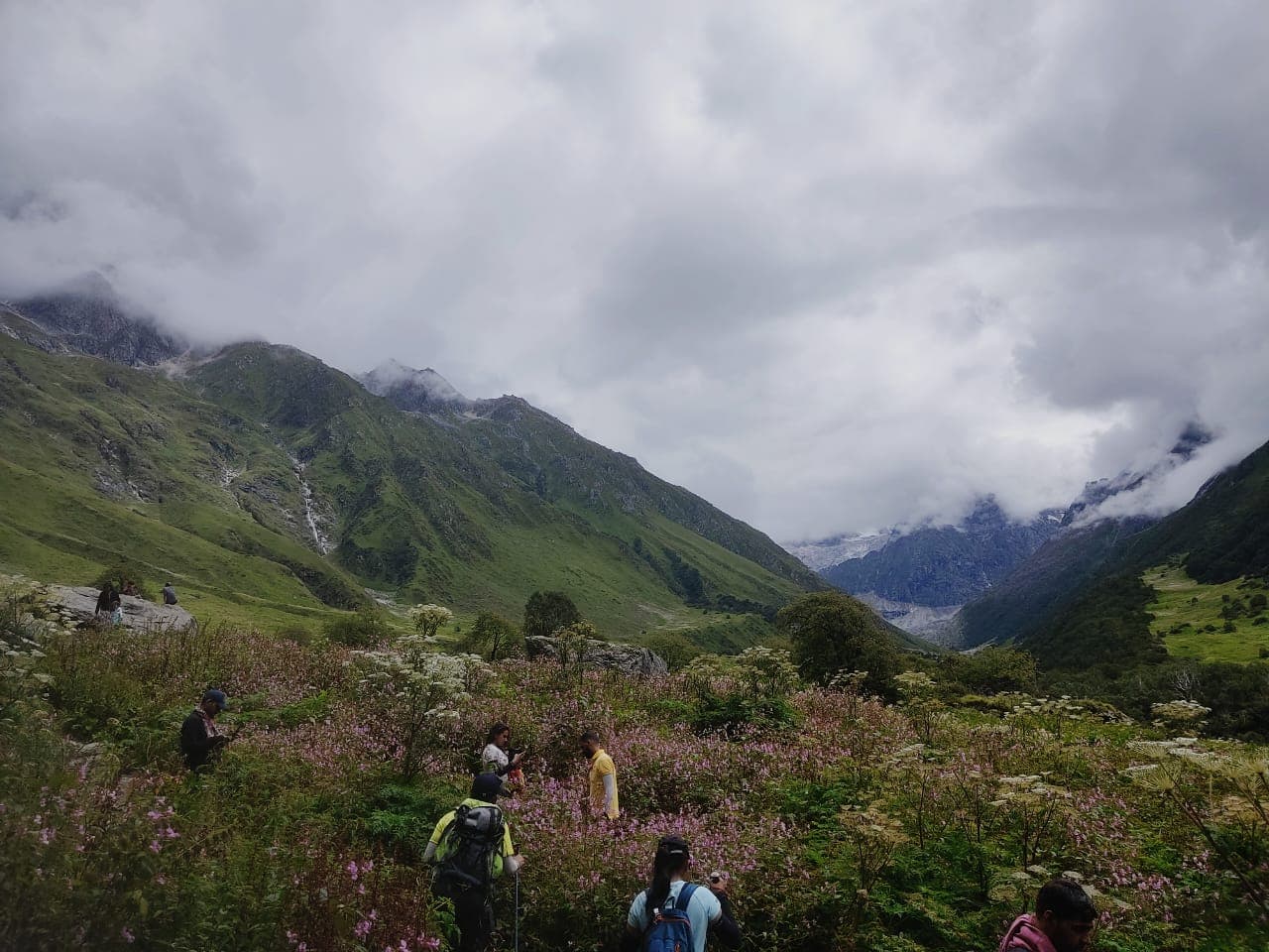 Photo 12 of Valley of Flowers Trek