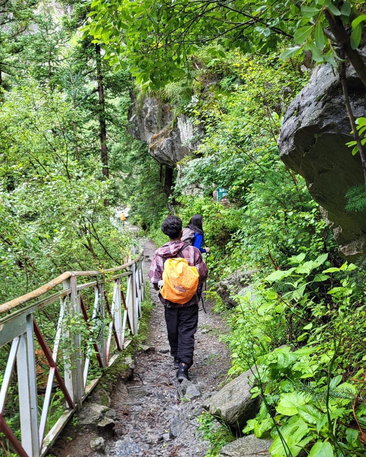 Photo 15 of Valley of Flowers Trek