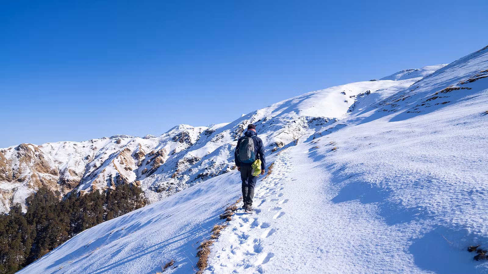 Photo 3 of Ali Bedni Bugyal Trek