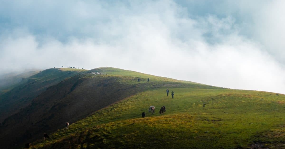 Photo 7 of Ali Bedni Bugyal Trek